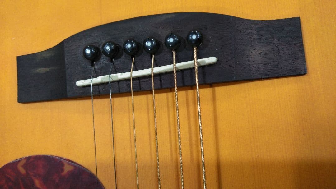 ARIA 　Aria　アコースティックギター　101 MTTS　ギターケース付き