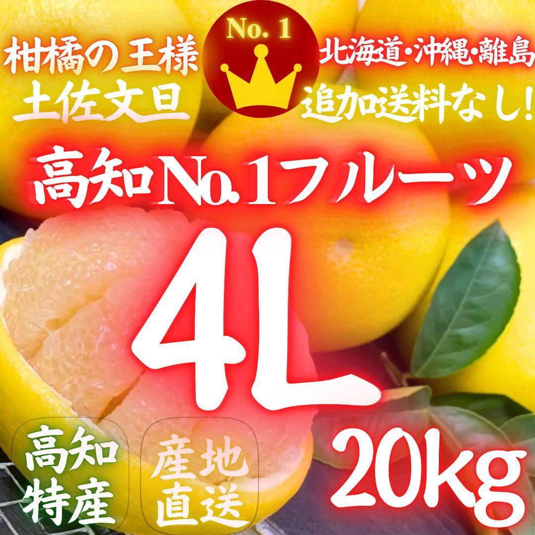 ⑲高知特産 露地栽培 土佐文旦 4L限定 文旦 約20kg 大玉 サイズ