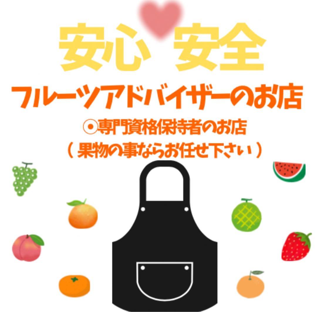 ⑲高知特産 露地栽培 土佐文旦 4L限定 文旦 約20kg 大玉 サイズ