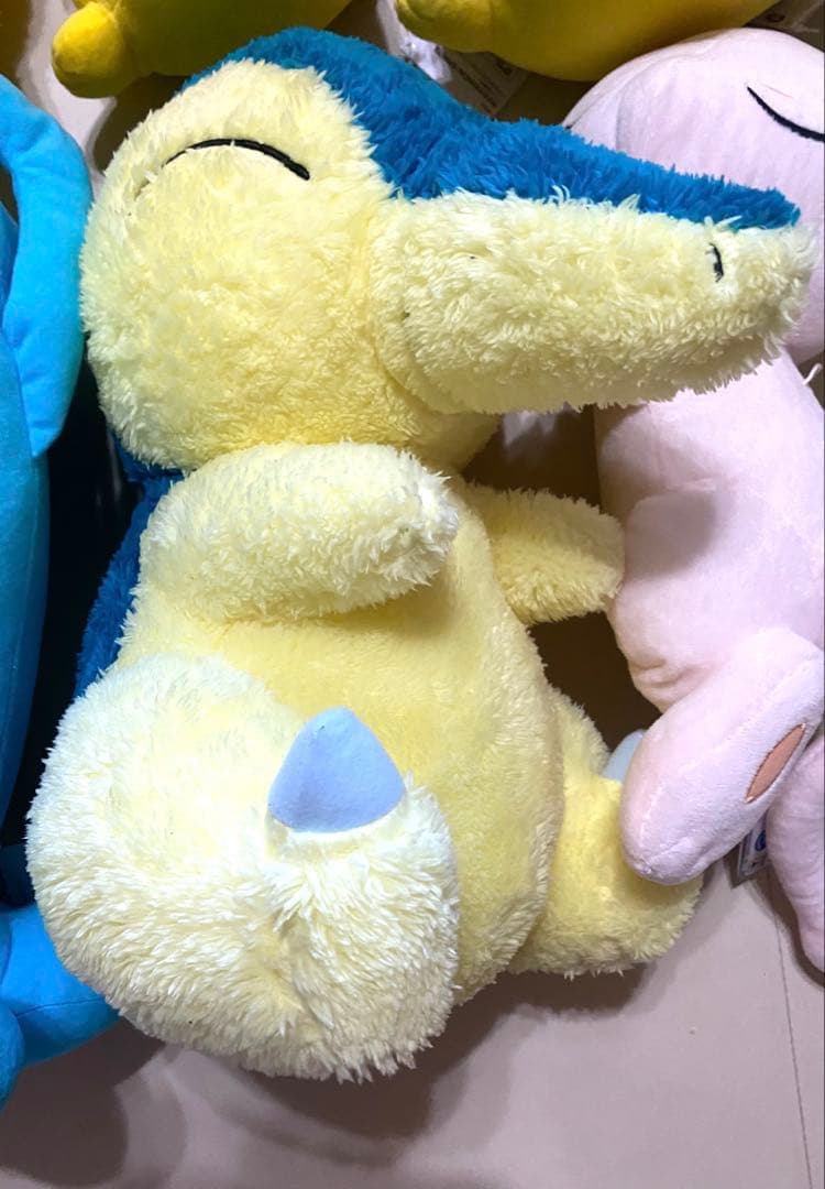 ポケモンBIGぬいぐるみ14点セット　　紙タグ付き