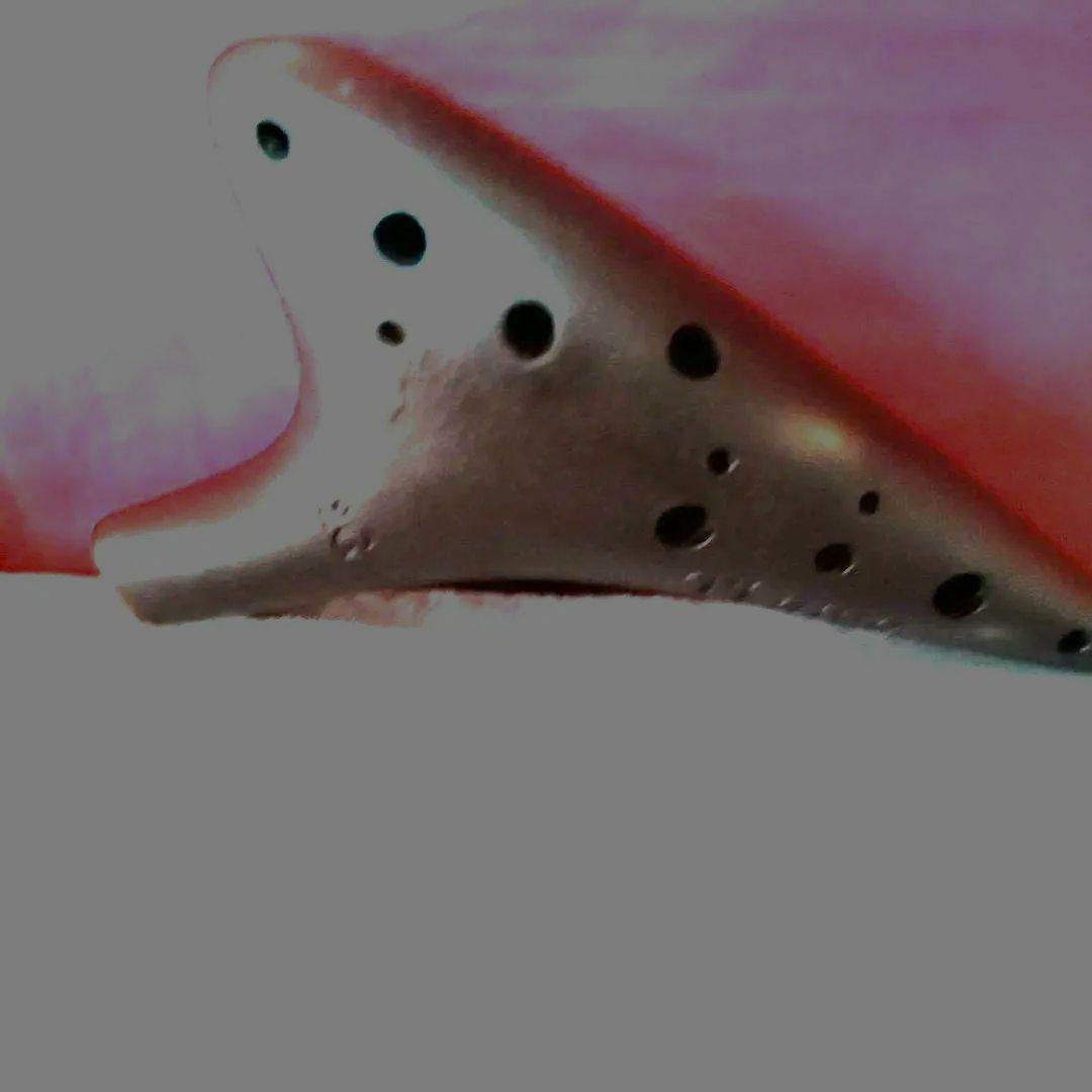 Tiamo 黒いオカリナ 三角形★ケース付き