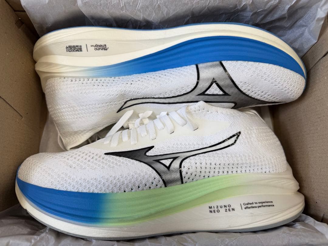 ミズノネオゼン 27.0