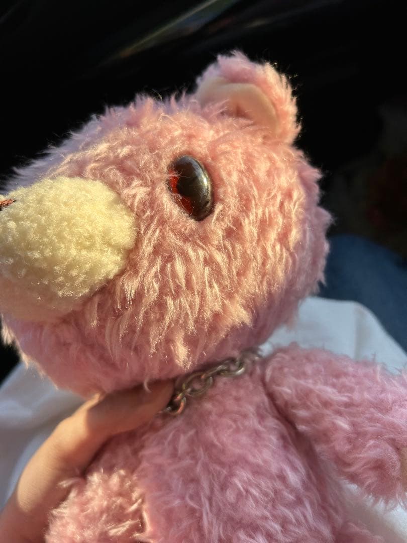 チャックス　テディグルーミー　激レア　ぬいぐるみ　レトロ　限定販売　ドール