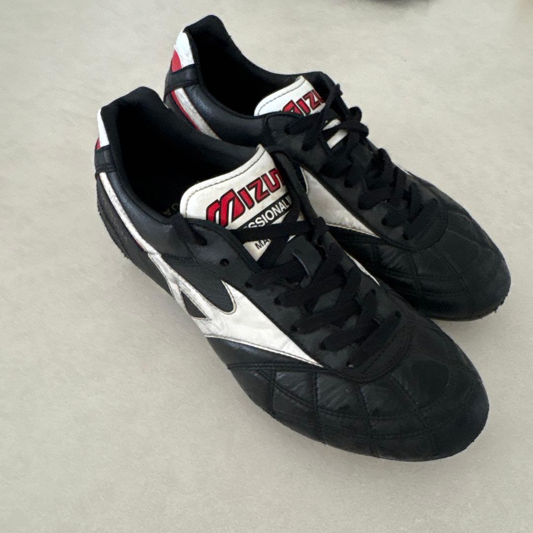 モレリア2 23 ㎝