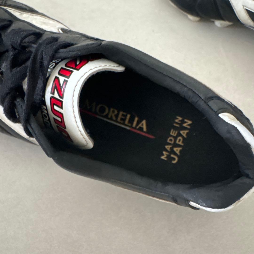 モレリア2 23 ㎝