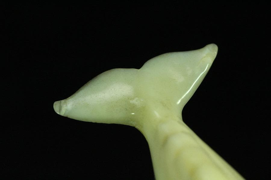 抹香鯨 歯 細密 彫刻 鯨 置物 根付 台付(K-A995)