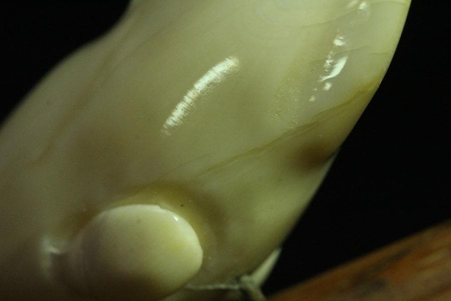 抹香鯨 歯 細密 彫刻 鯨 置物 根付 台付(K-A995)