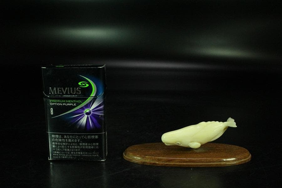 抹香鯨 歯 細密 彫刻 鯨 置物 根付 台付(K-A995)