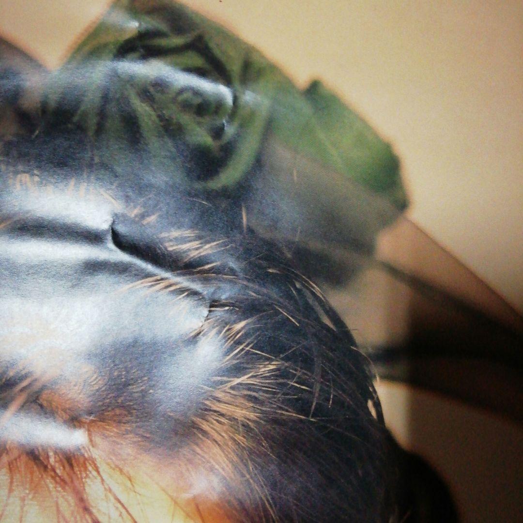 刀根真理子　「PURELY」店頭ポスター当時品