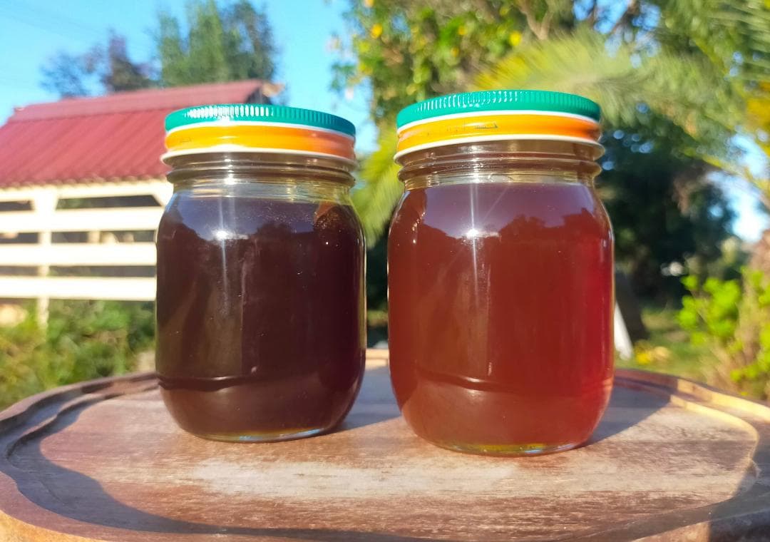 【おまけ付き！】国産ニホンミツバチの百花蜜 400g×2本 純粋はちみつ