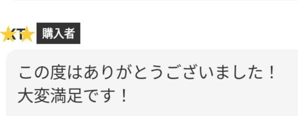 パワフルに切れる理美容師プロ用シザーカットバサミ☀トリミングペットにも使えます✨