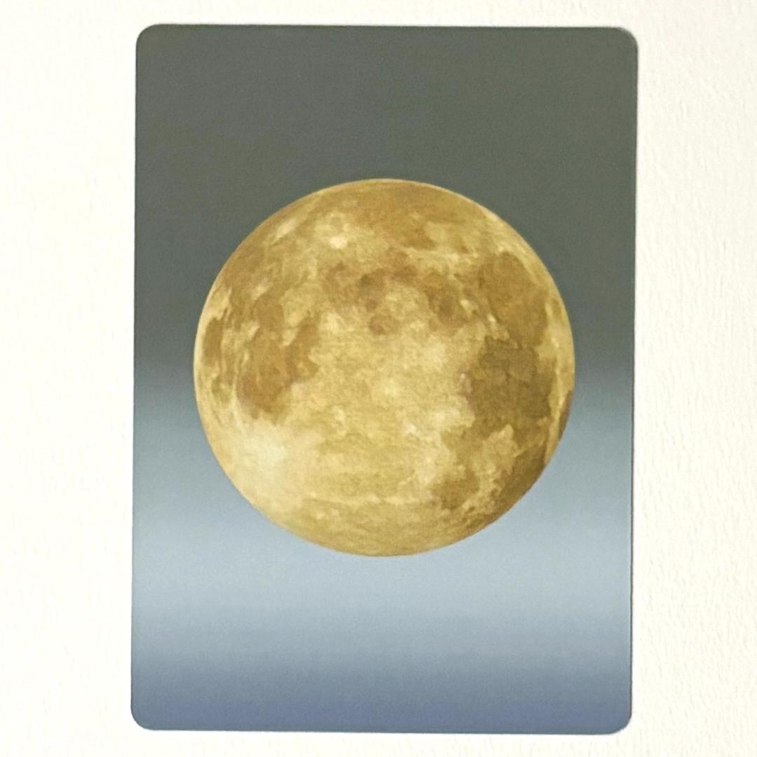 水木しげる 妖怪伝 妖怪博士 のんのんばあ 鬼太郎等23枚＋未開封パック セット