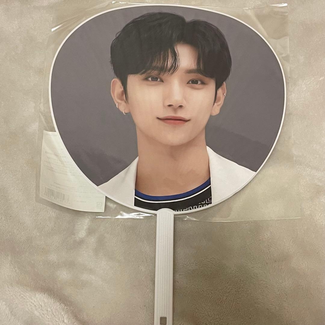 ジョシュア 団扇 うちわ IMAGEPICKET ハンガー タオル まとめ売り