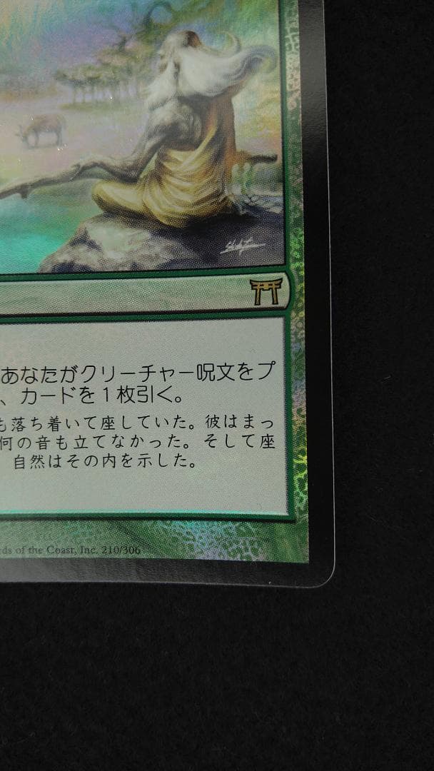 垣間見る自然　CHK　foil　日本語