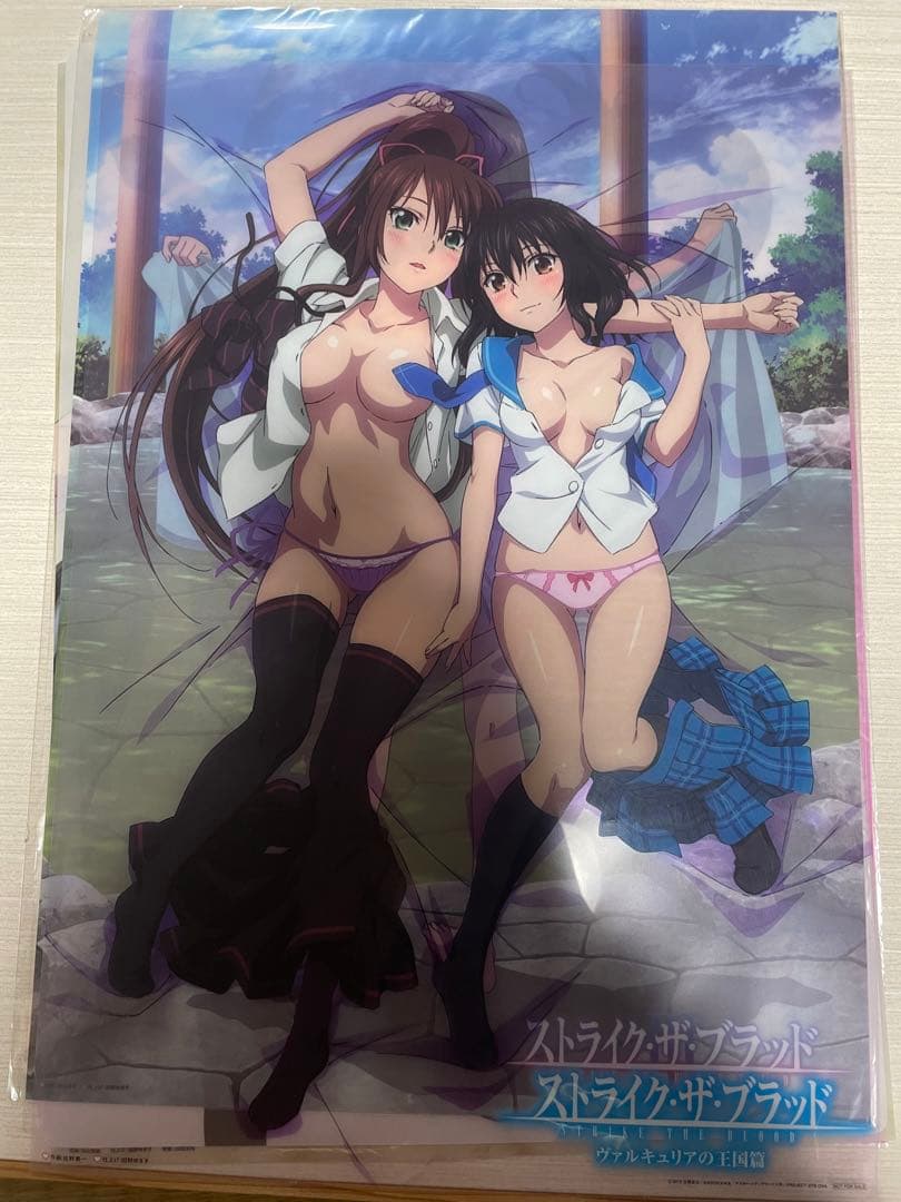 a*1様 ストライク・ザ・ブラッド クリアポスター セット