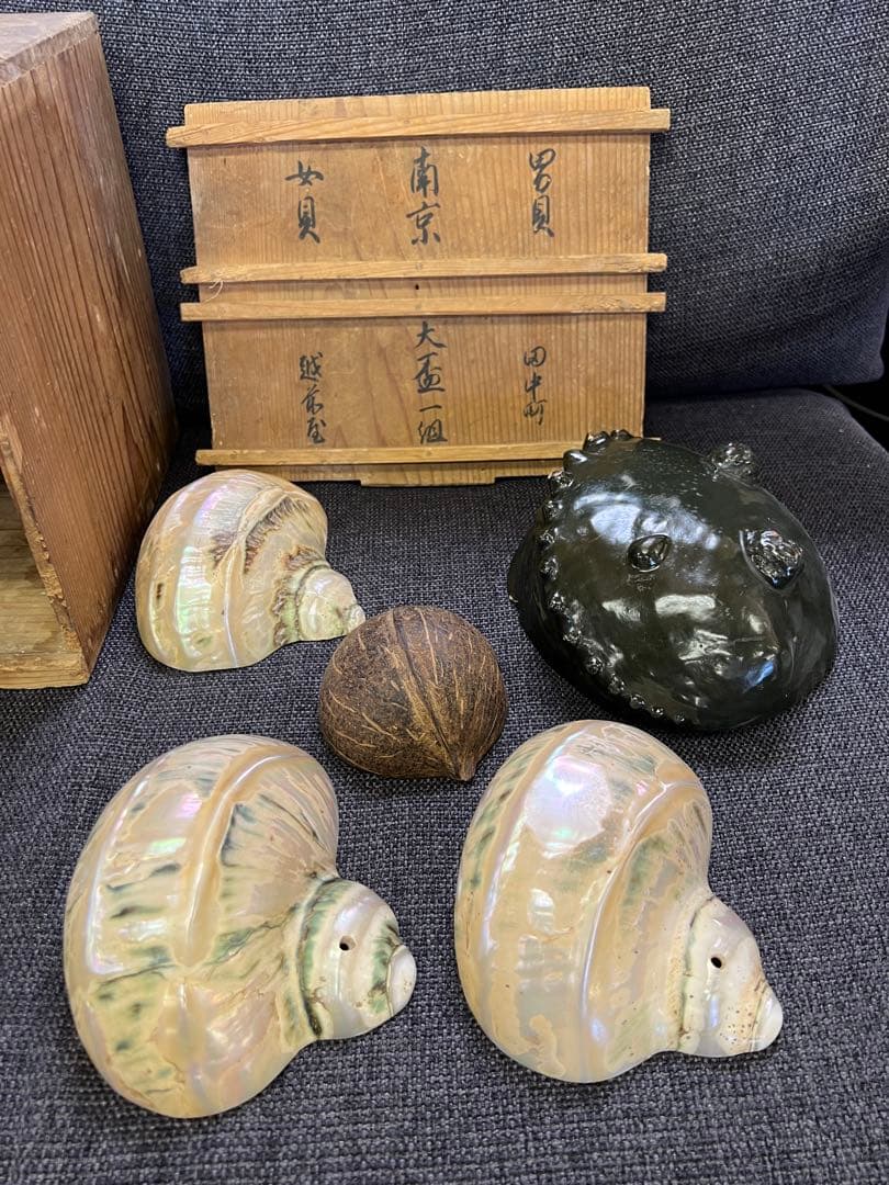 骨董品　天保期 木箱入り 貝殻5点セット 南京貝 男女貝 江戸期