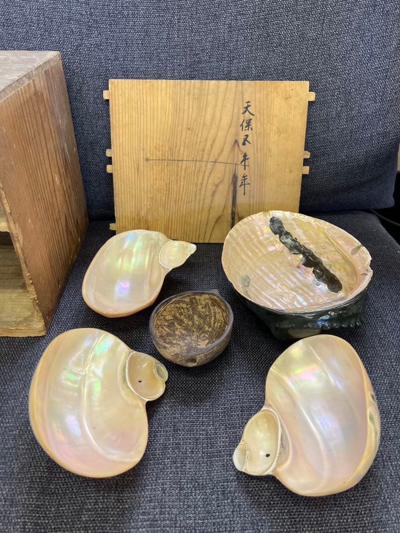 骨董品　天保期 木箱入り 貝殻5点セット 南京貝 男女貝 江戸期