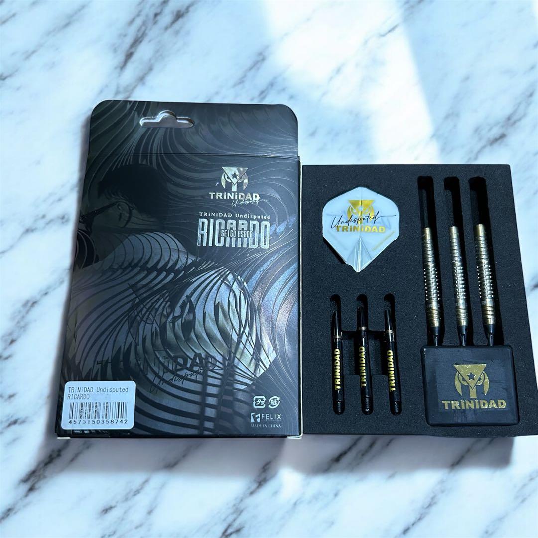 【美品】TRiNiDAD RICARDO 浅田斉吾モデル リカルト　トリニダード