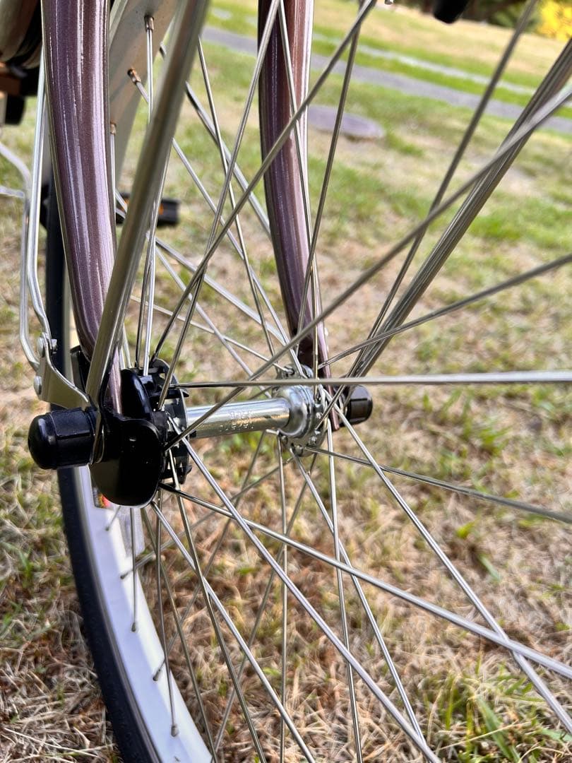 パナソニックビビ L 20 押し歩き20型BE-FLW032-T + 専用充電器