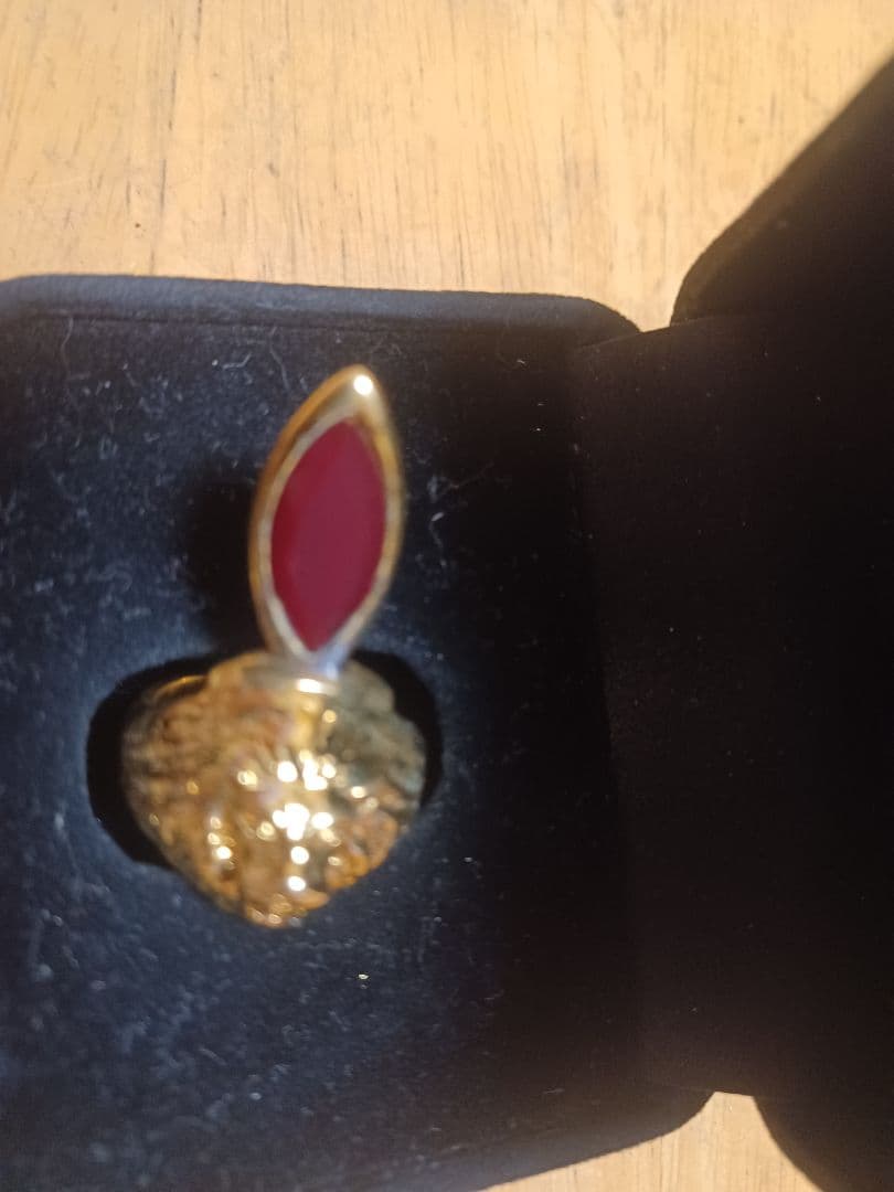 ドッポ！様用 レオリング レプリカ！