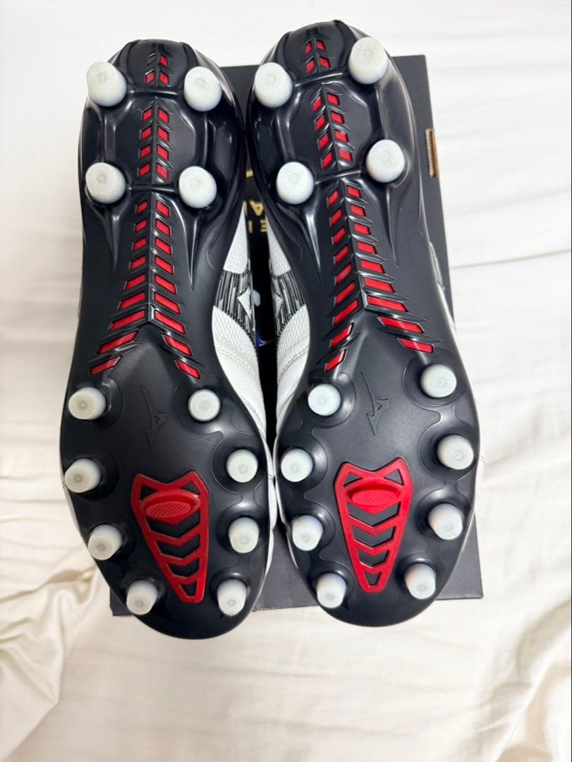 モレリアネオ4β