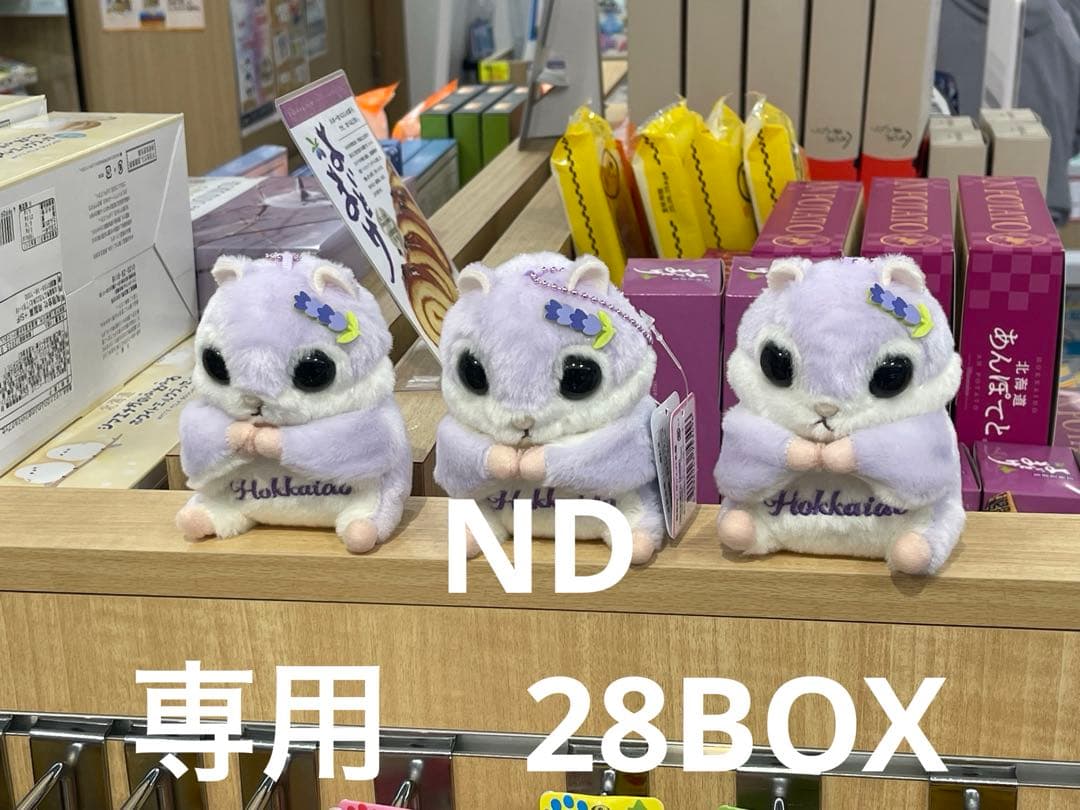 ポケモンカードゲーム ND28BOX