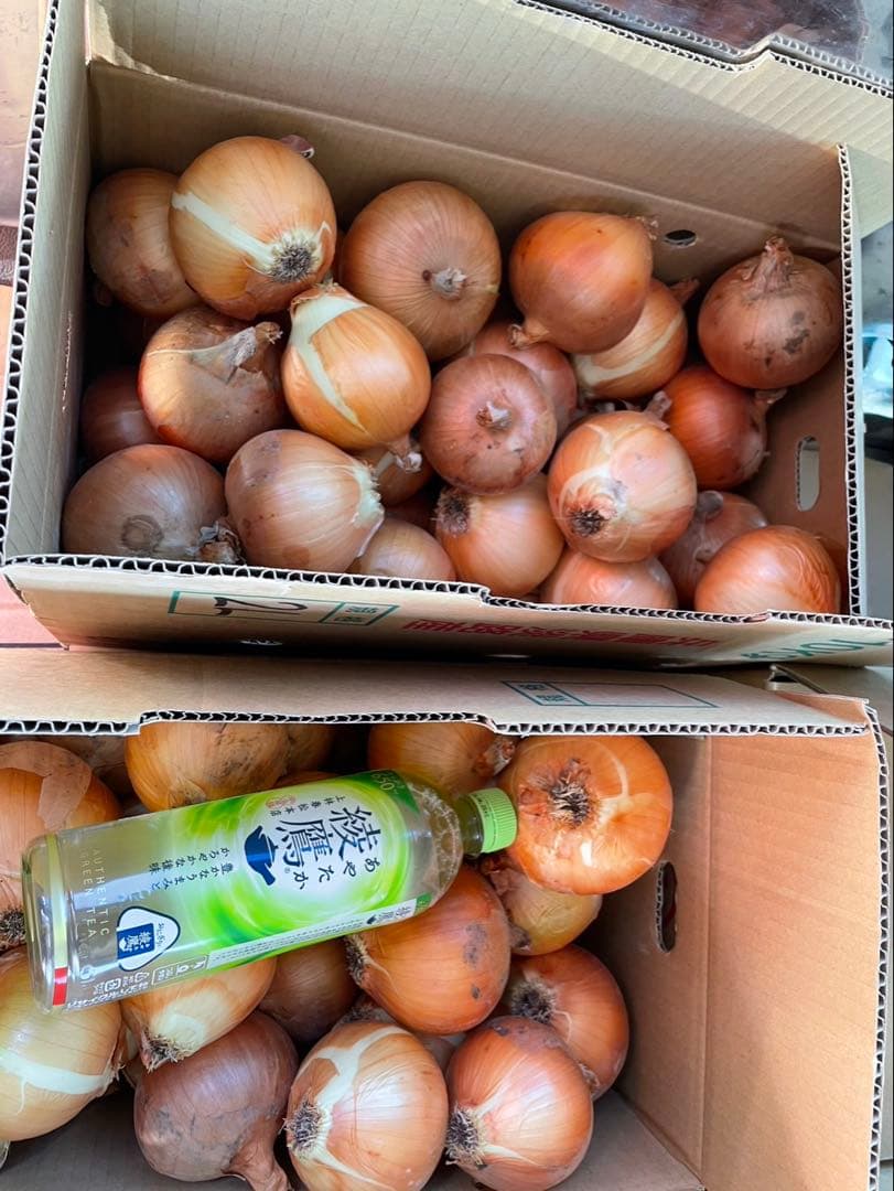 yupira！！淡路島産玉ねぎ、皮向け20kg混合