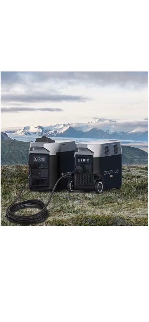 Delta Pro オルタネーターチャージャー