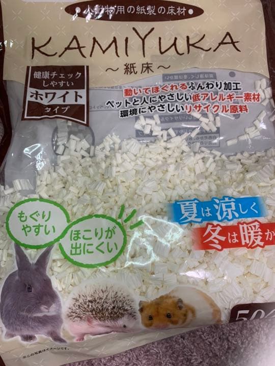 ハリネズミスターターセット