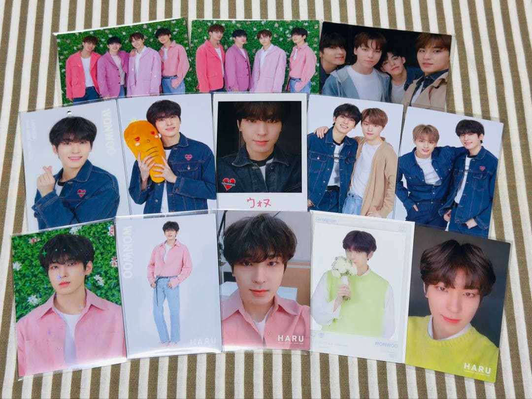 SEVENTEEN ウォヌ HARU トレカ コンプ 13枚セット