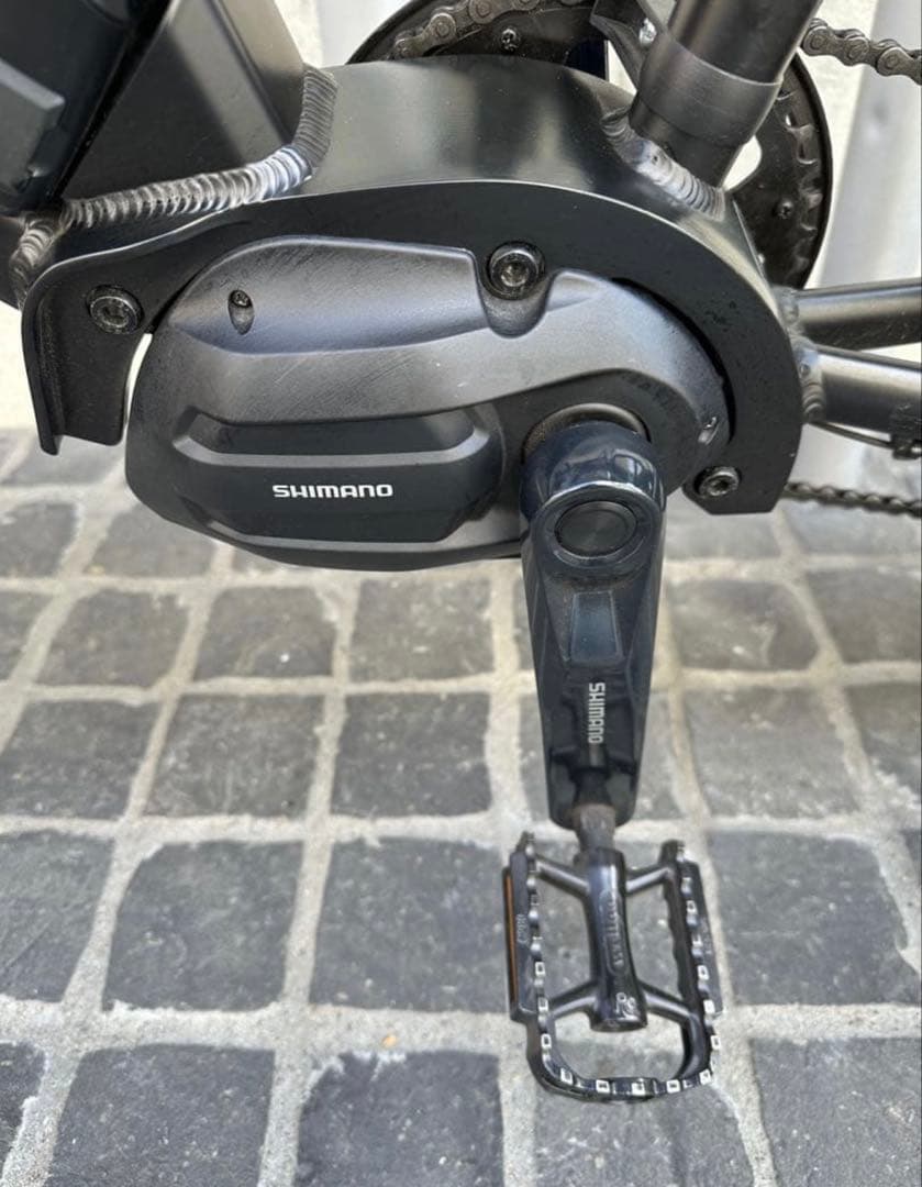 ルイガノEASEL-E　（ミニベロEバイク）