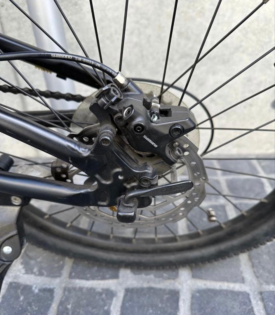 ルイガノEASEL-E　（ミニベロEバイク）