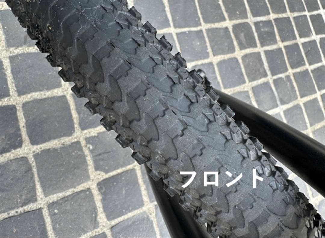 ルイガノEASEL-E　（ミニベロEバイク）