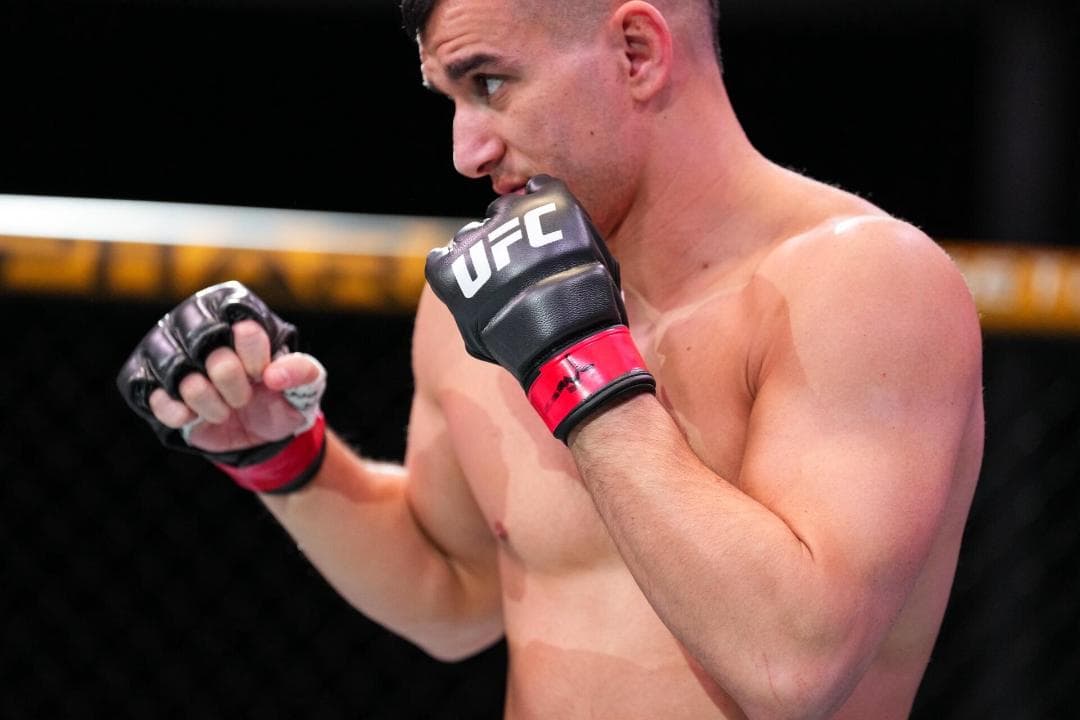 公式販売店【独占】UFC3Eight 公式試合用　グローブ新品 激レアXS-L