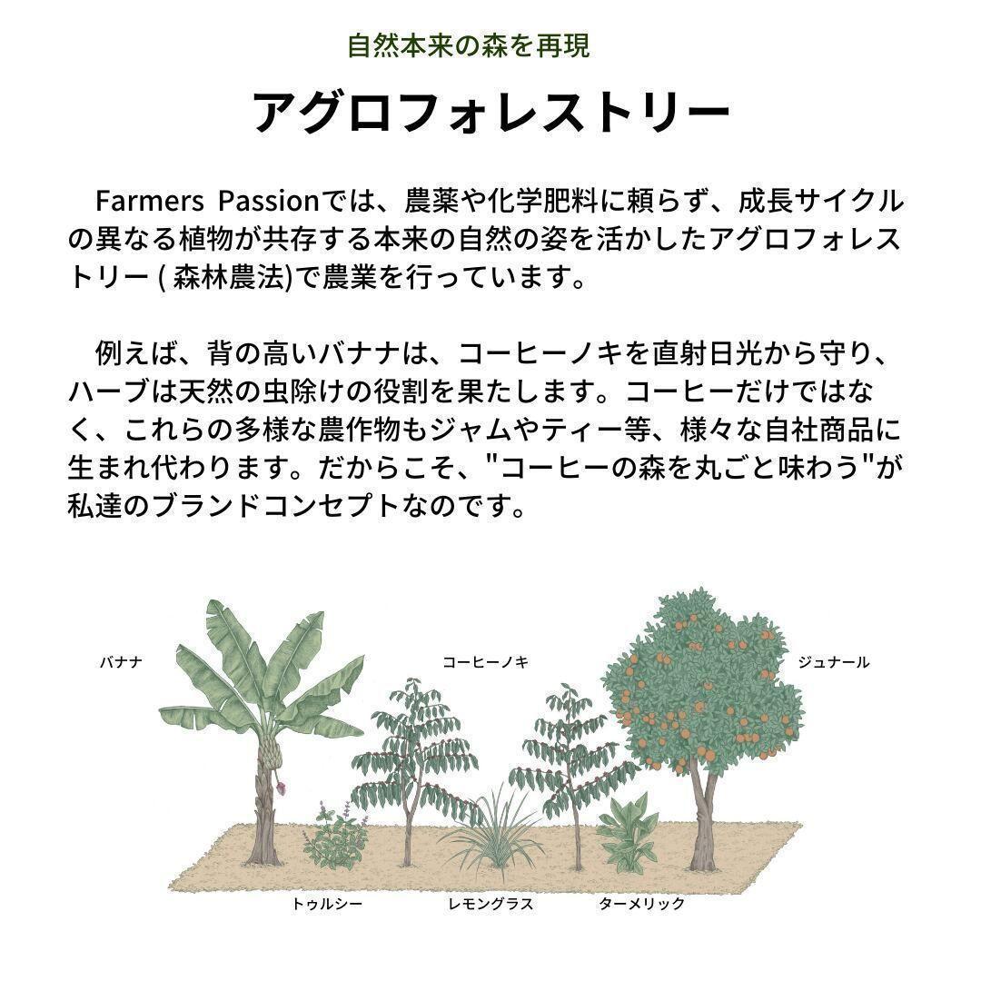 ★オーガニックコーヒー アメリカン フェアトレード 1kg コーヒー豆 ネパール