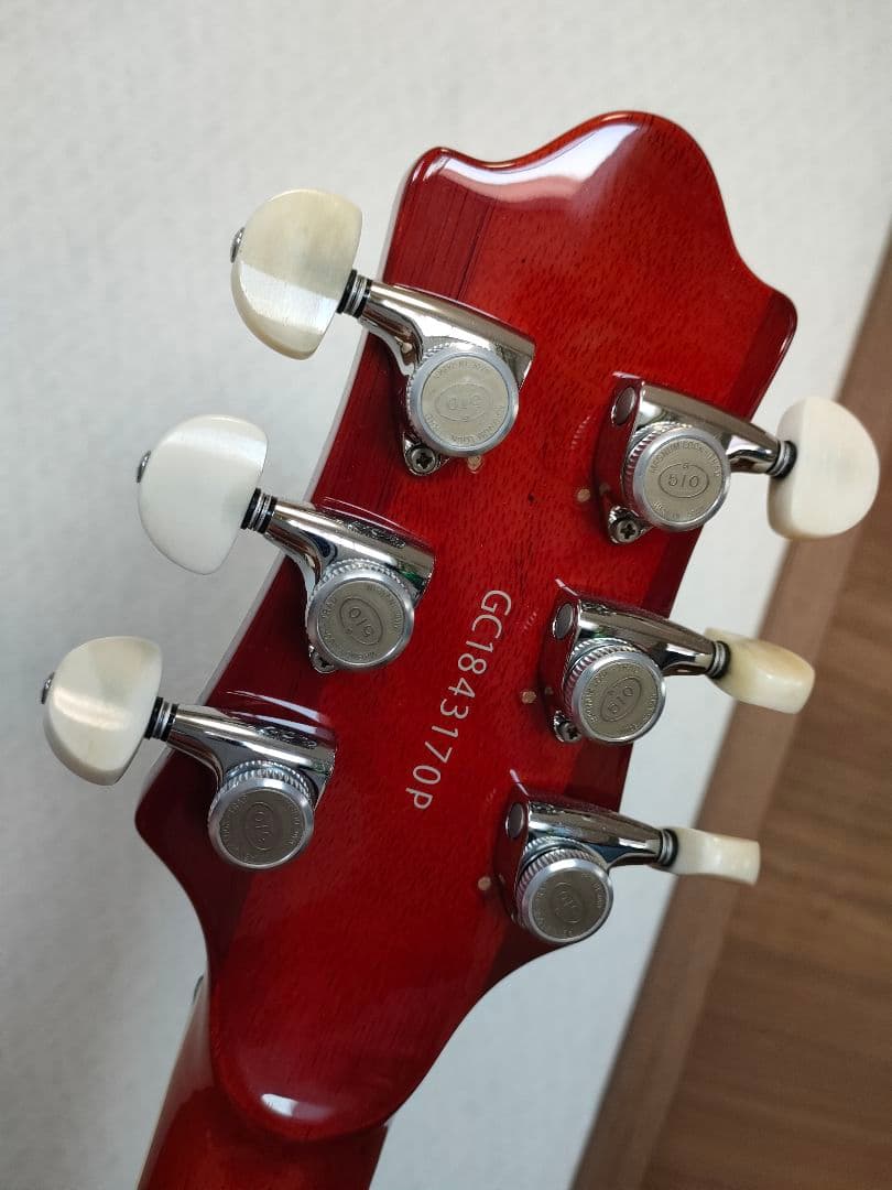 G-レオン -HIROKAZ Signature Model ESPカスタム