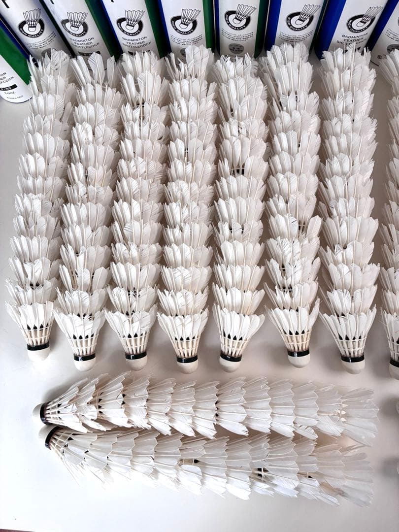 バドミントン中古シャトル 234球