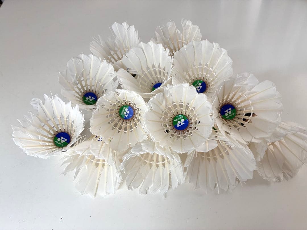 バドミントン中古シャトル 234球