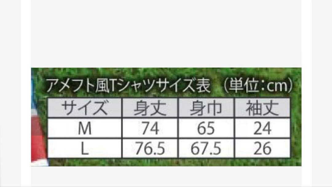 カープ アメフト風 Tシャツ 新井監督 Mサイズ