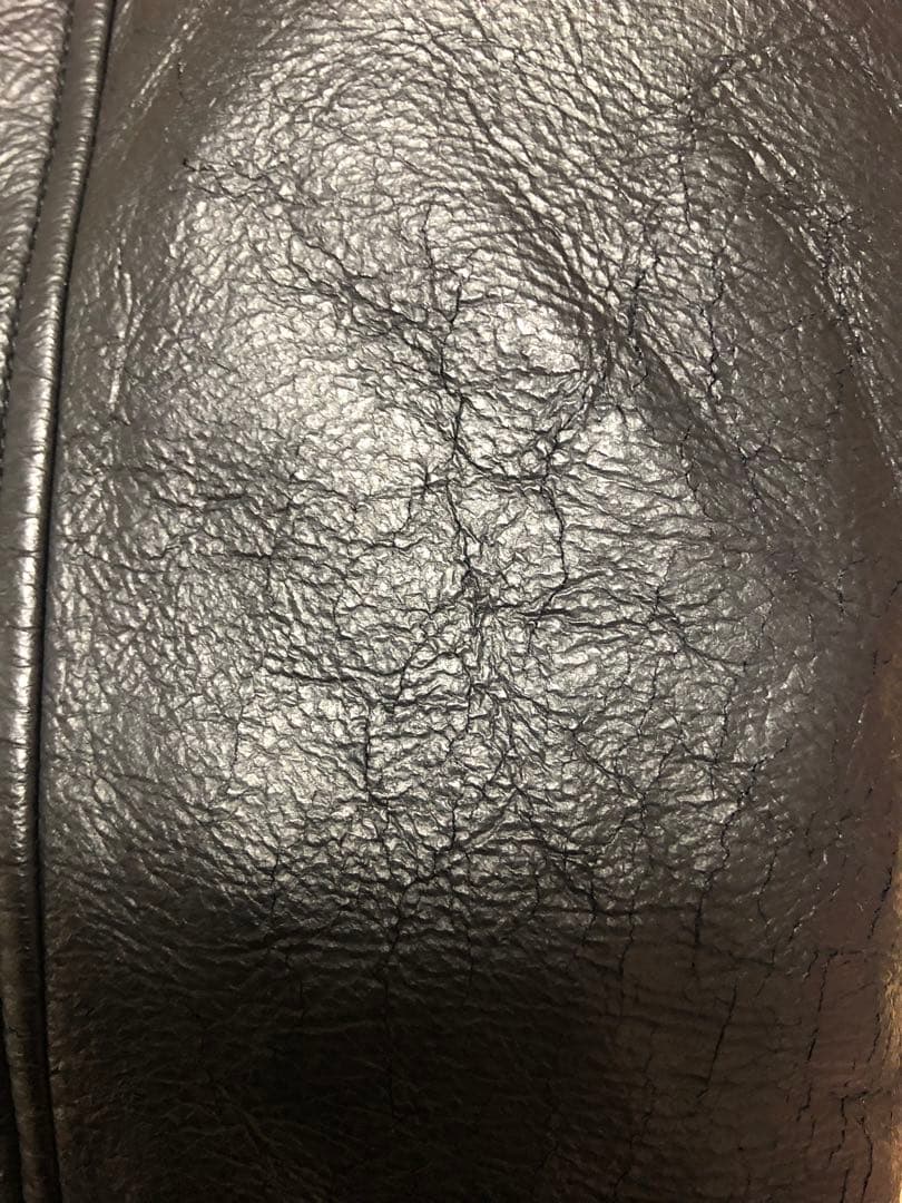 大阪体育大学　硬式野球部　グラウンドコート