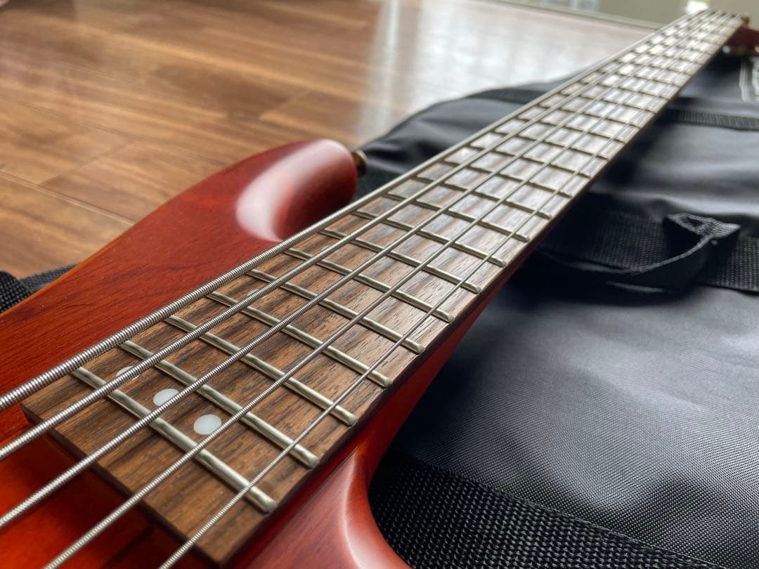 Y*t様 SCHECTER Stiletto STUDIO-5 AD-SL-ST