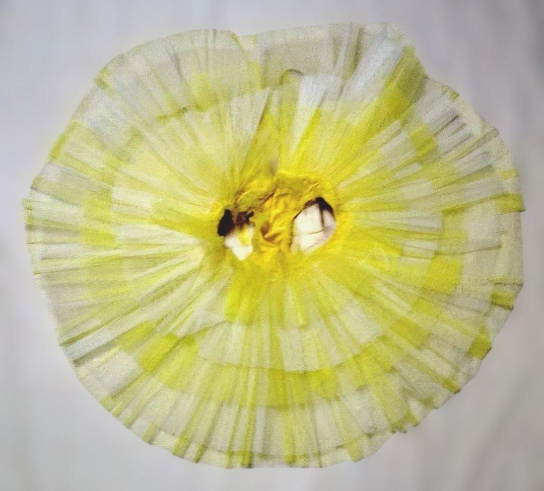 バレエ　5着まとめチュチュ　バレリーナ製　2号、3号サイズ