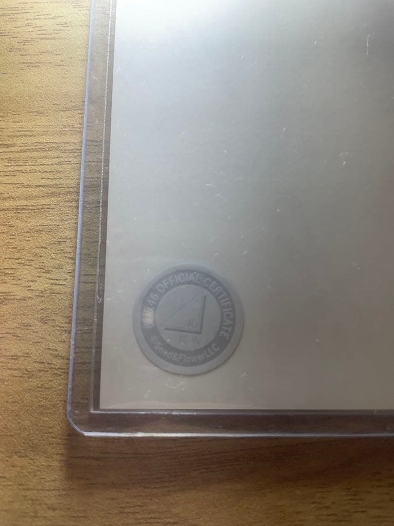 櫻坂46　谷口愛季　2024年クリスマスサンタ衣装　チュウ　直筆サイン　生写真