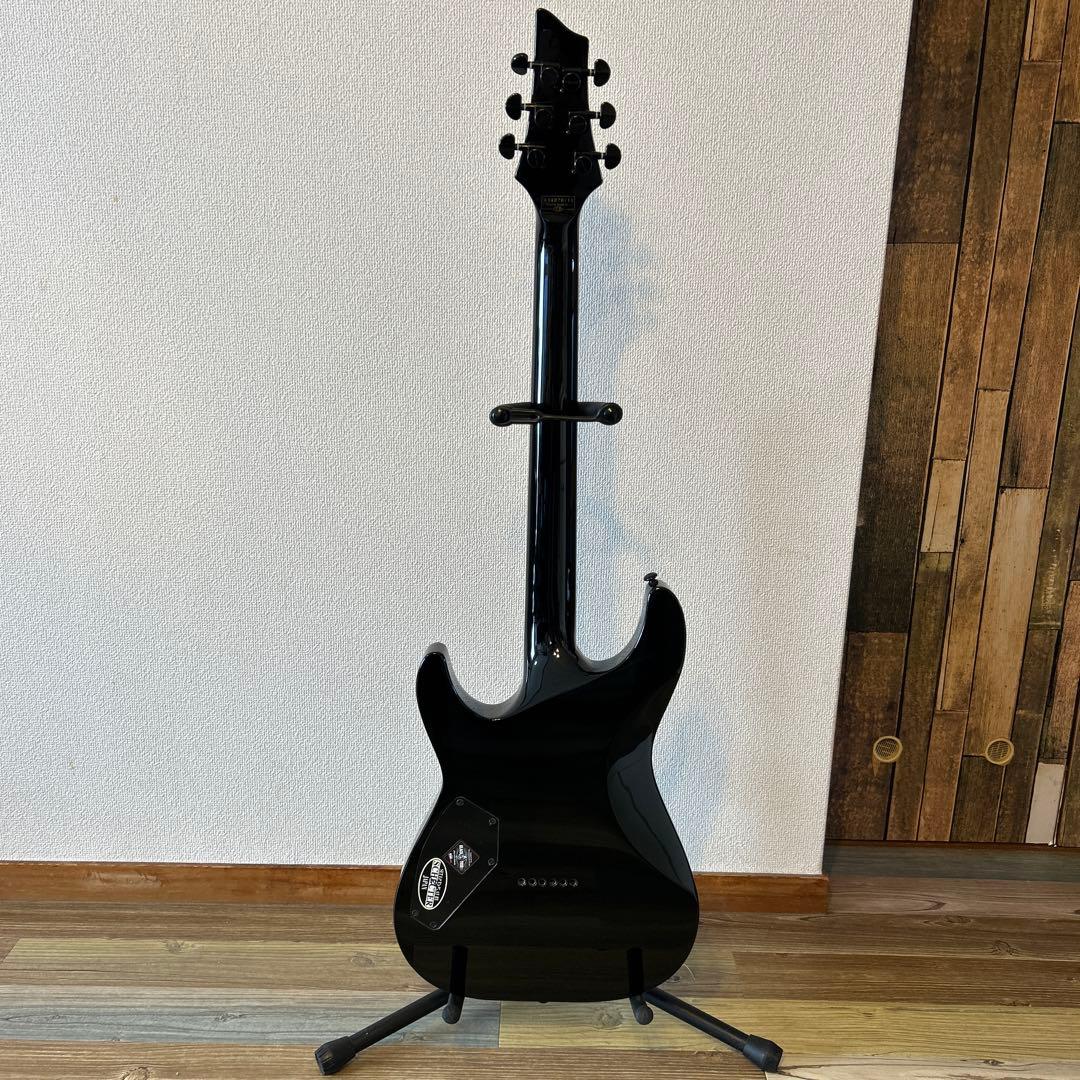 【希少機種】SCHECTER シェクター エレキギター
