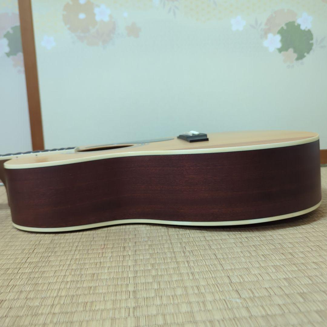 HONEY BEE　アコースティックギターF-15