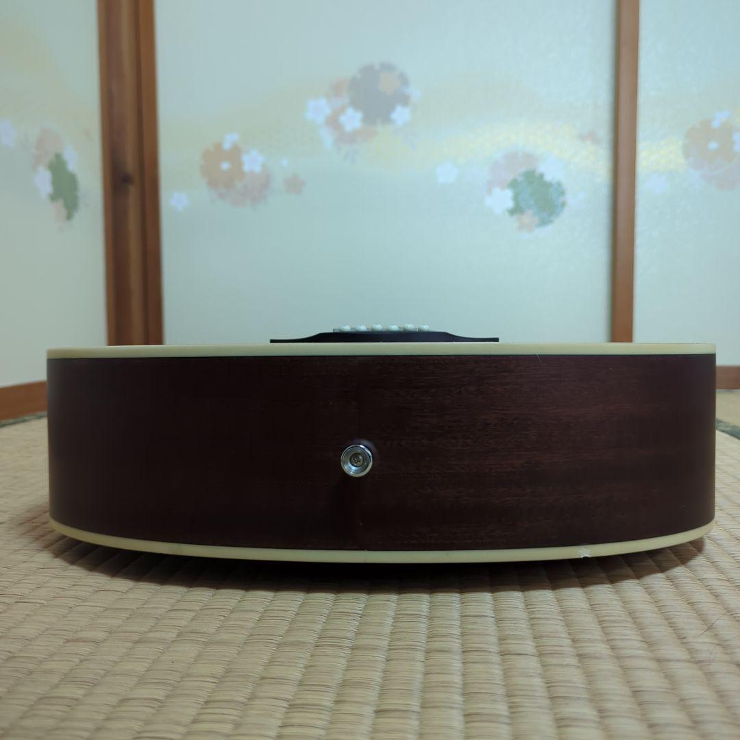 HONEY BEE　アコースティックギターF-15