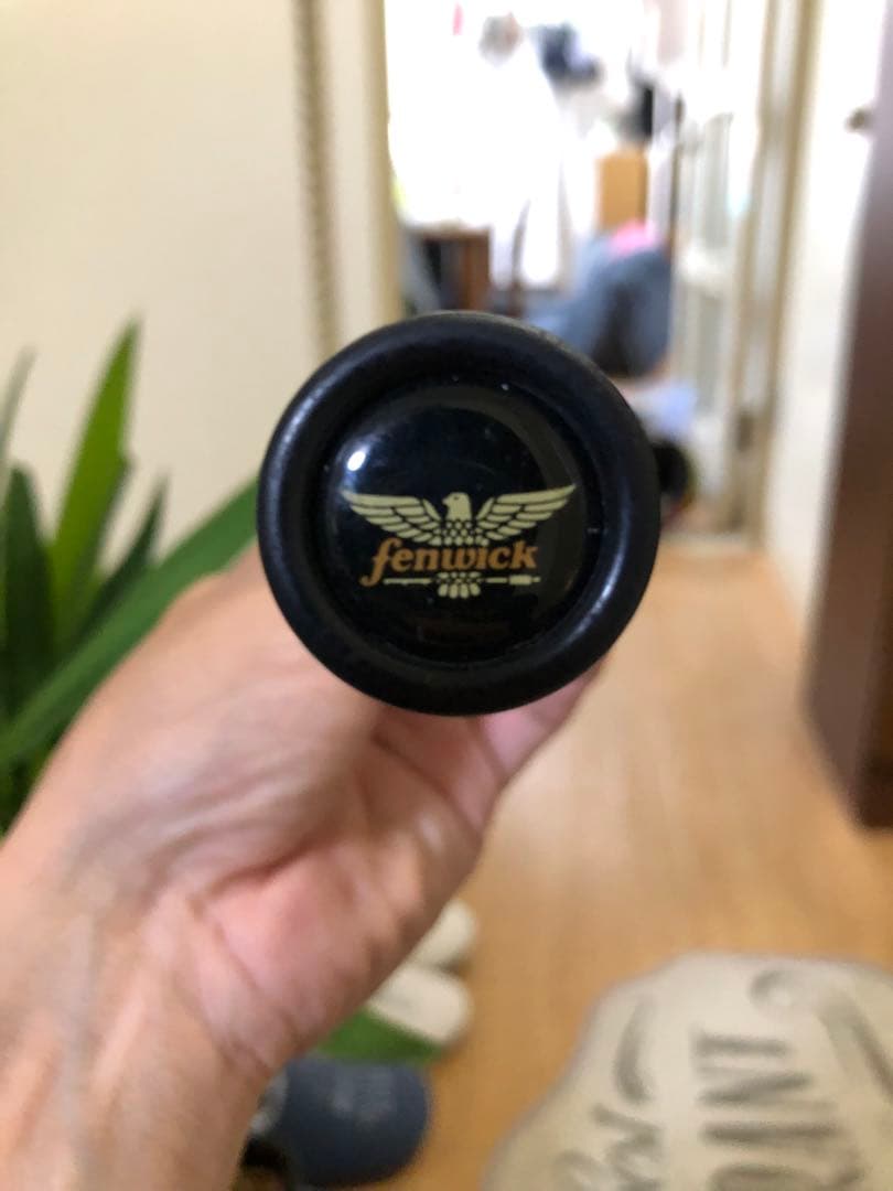 fenwick Techna GP フェンウィックテクナGP バスロッド