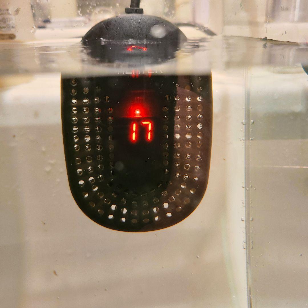 ★2個セット★ GEX ラクテリア ガラス水槽 W34×D17.5×H24cm