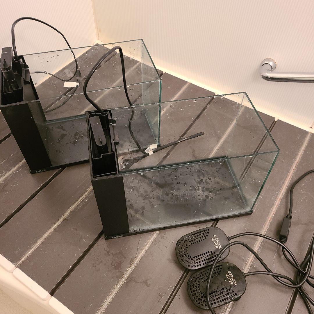 ★2個セット★ GEX ラクテリア ガラス水槽 W34×D17.5×H24cm