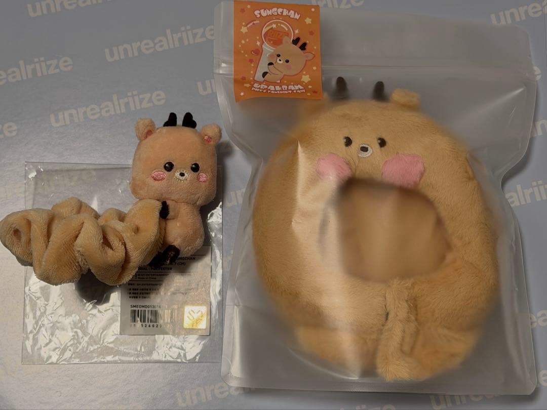 RIIZE ソンチャン　ファンライトケープ ペンライトカバー　ウラッバム